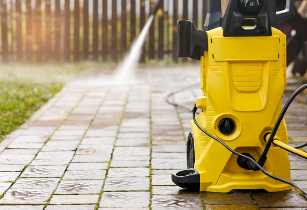 Best Winterizing Services  in Edmore, MI